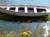 dscn0235