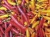 vietnam-sapa-chillies