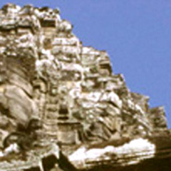 Angkor Artichokes
